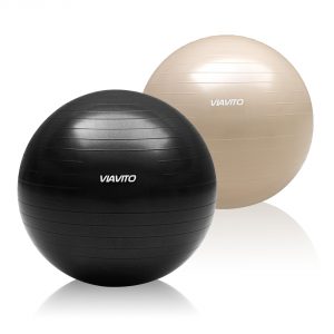 Viavito 500kg Studio Anti-burst 65cm Gym Ball